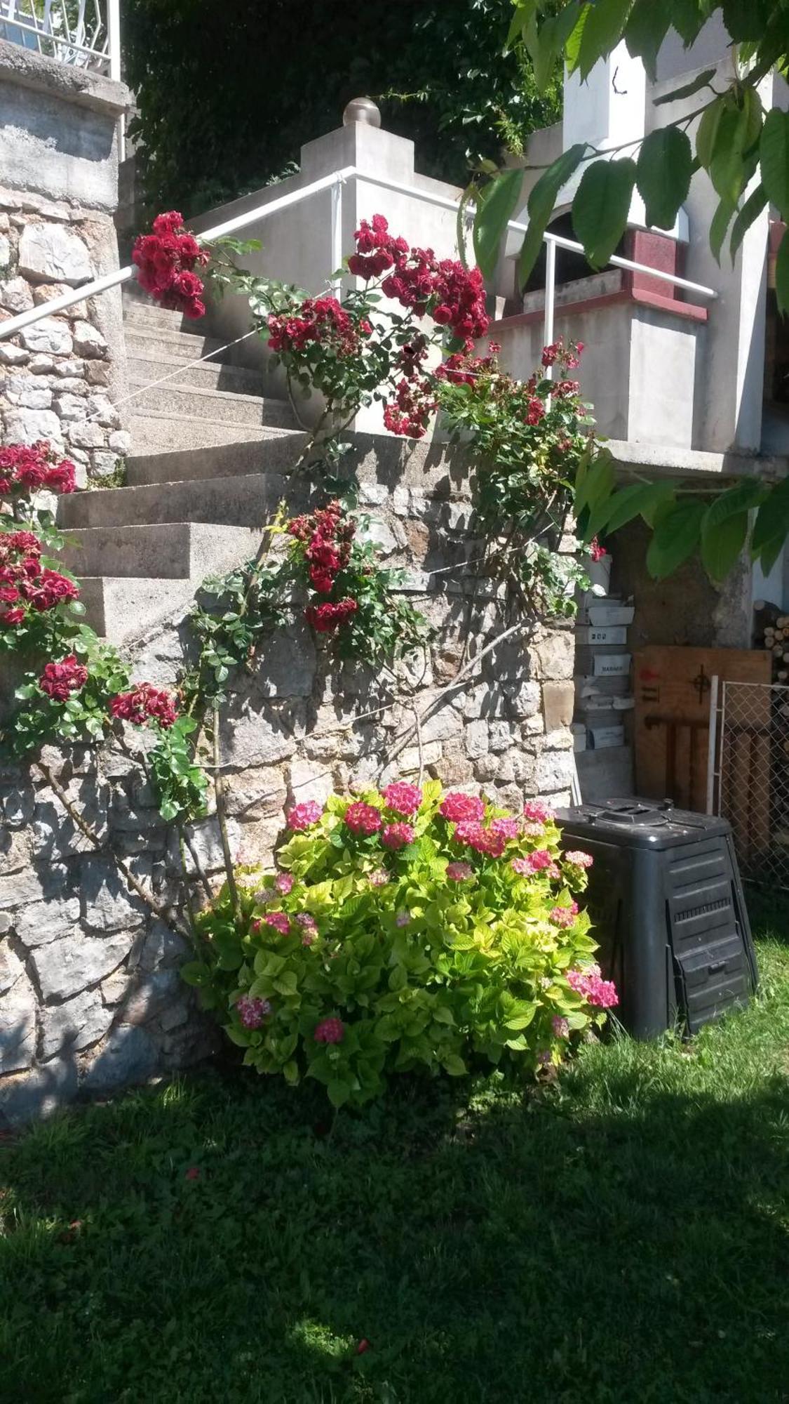 Apartmani Silvana&Vera Zengg Kültér fotó
